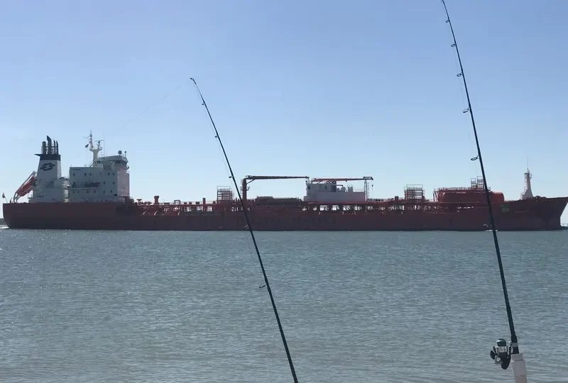 BOW FLORA Tanker IMO 9143207 photo 2