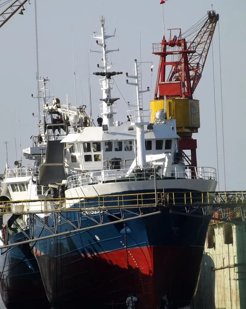 VENTISQUERO General Cargo IMO 9143324