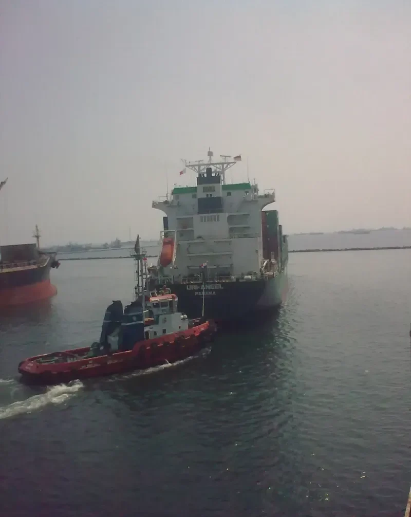 UNI ANGEL Container Ship IMO 9143350 photo 8