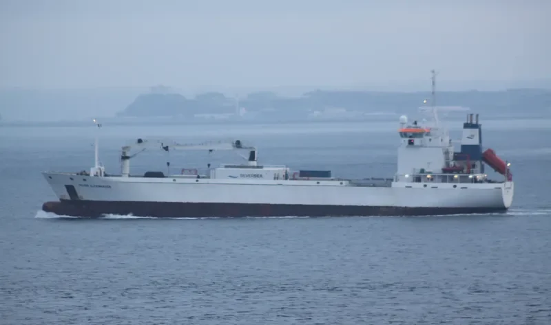 SILVER COPENHAGEN General Cargo IMO 9143386 photo 9