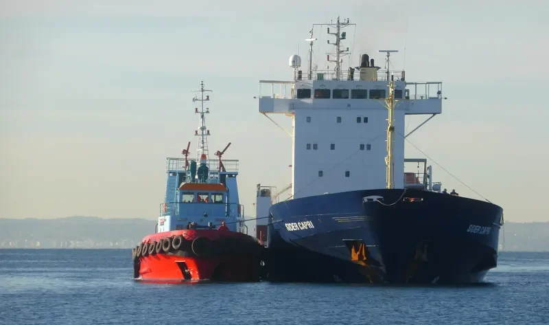RADIANT General Cargo IMO 9143403 photo 7