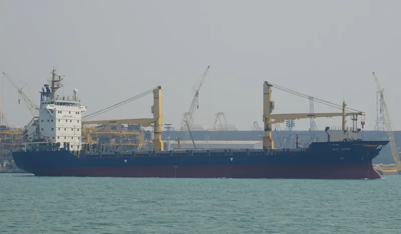 KITI BHUM Container Ship IMO 9143453 photo 9