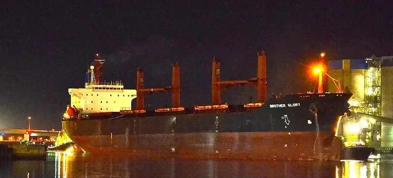 BROTHER GLORY Bulk Carrier IMO 9143489 photo 2