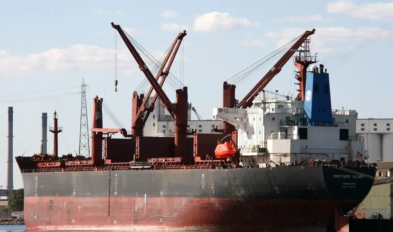 BROTHER GLORY Bulk Carrier IMO 9143489 photo 3