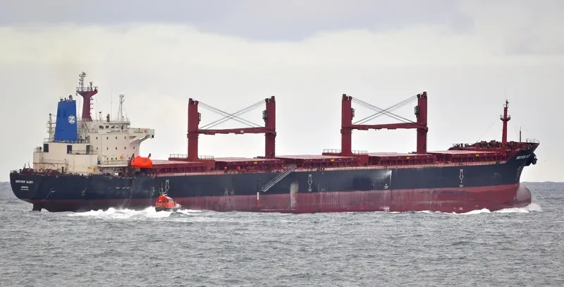 BROTHER GLORY Bulk Carrier IMO 9143489 photo 4