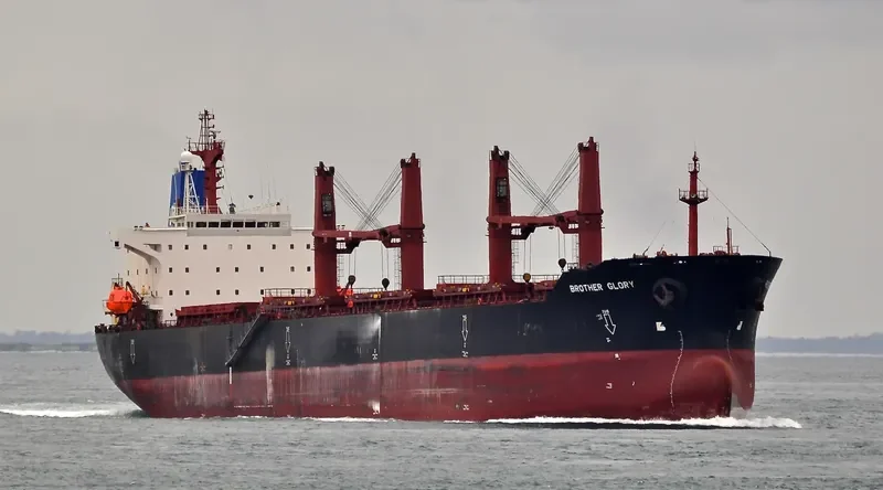 BROTHER GLORY Bulk Carrier IMO 9143489 photo 5