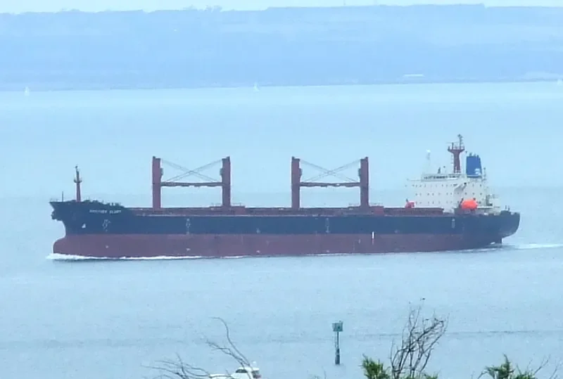 BROTHER GLORY Bulk Carrier IMO 9143489 photo 6
