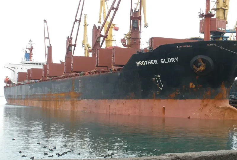 BROTHER GLORY Bulk Carrier IMO 9143489 photo 7