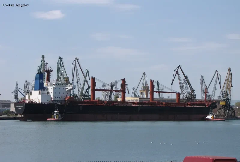 BROTHER GLORY Bulk Carrier IMO 9143489 photo 8