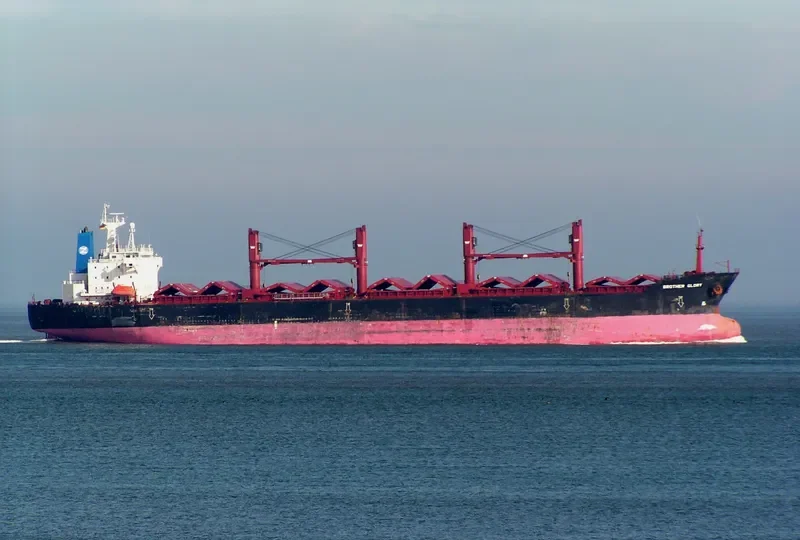 BROTHER GLORY Bulk Carrier IMO 9143489 photo 9