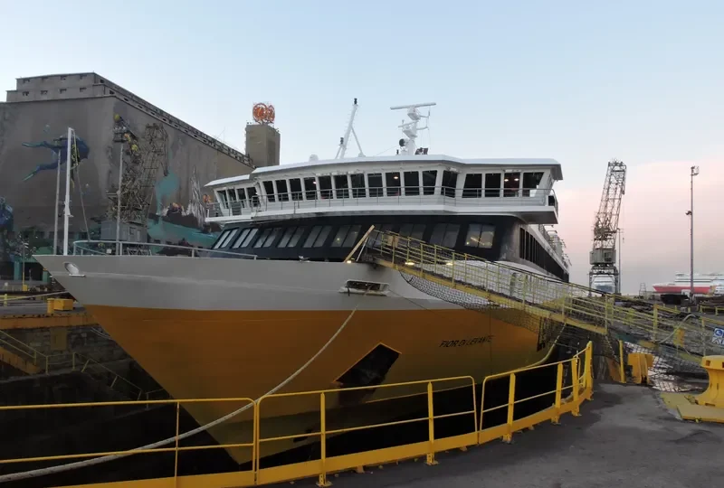 FIOR DI LEVANTE Passenger Ship IMO 9143491 photo 2