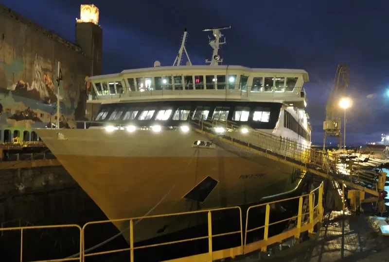 FIOR DI LEVANTE Passenger Ship IMO 9143491 photo 9
