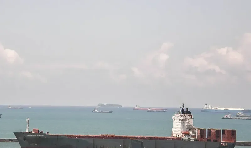 HAMMONIA IONIUM Container Ship IMO 9143518