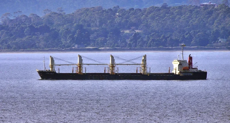 LUCKY PIONEER Bulk Carrier IMO 9143714 photo 5