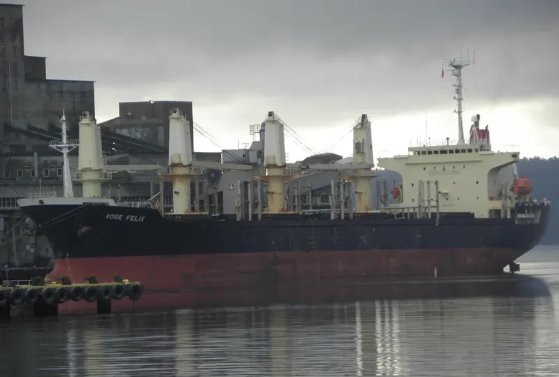 LUCKY PIONEER Bulk Carrier IMO 9143714 photo 8
