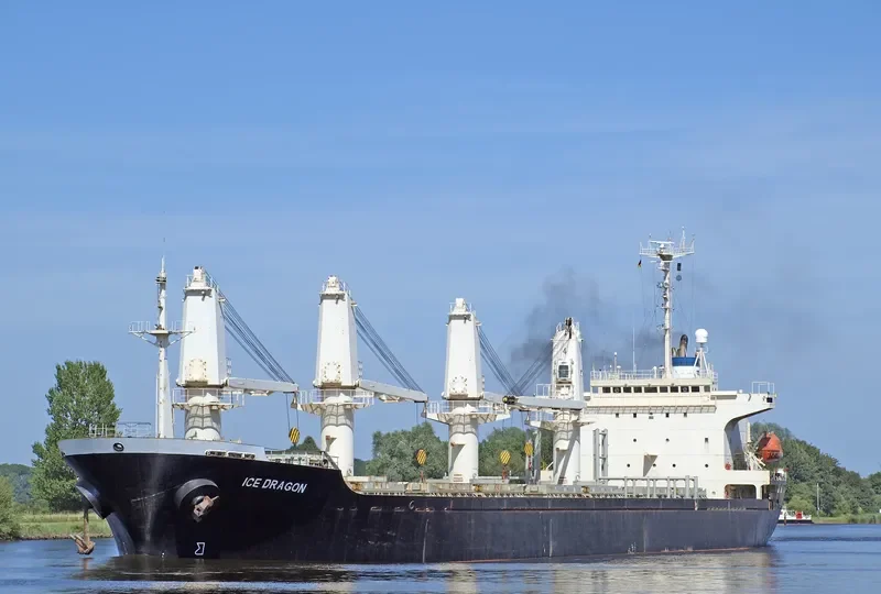 DRAGON Bulk Carrier IMO 9143726 photo 4