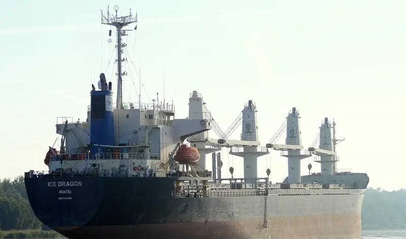 DRAGON Bulk Carrier IMO 9143726 photo 5