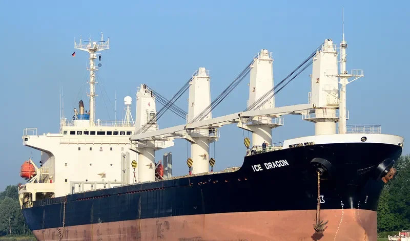 DRAGON Bulk Carrier IMO 9143726 photo 6