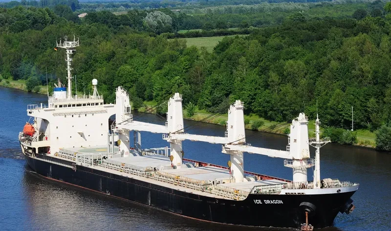 DRAGON Bulk Carrier IMO 9143726 photo 8