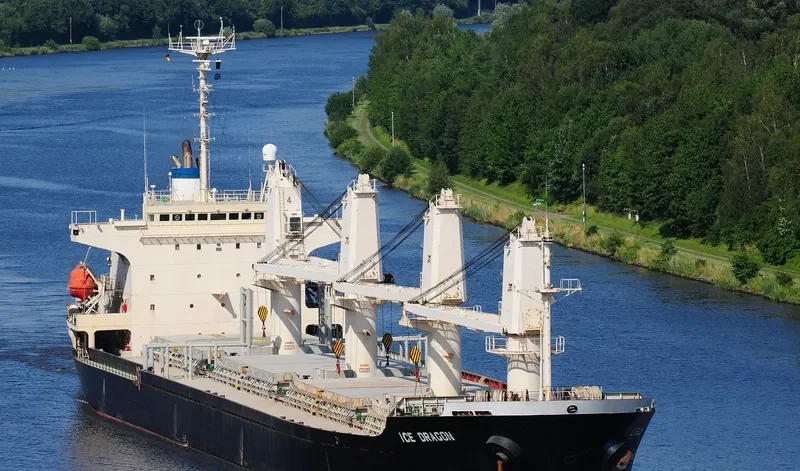 DRAGON Bulk Carrier IMO 9143726 photo 9
