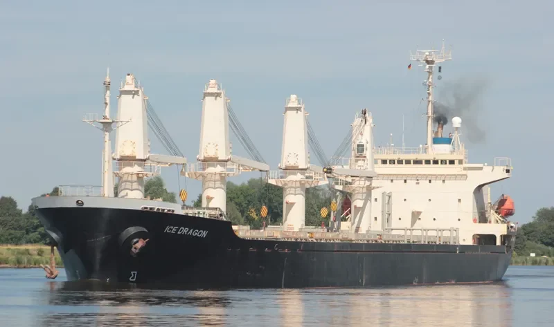 DRAGON Bulk Carrier IMO 9143726 photo 10