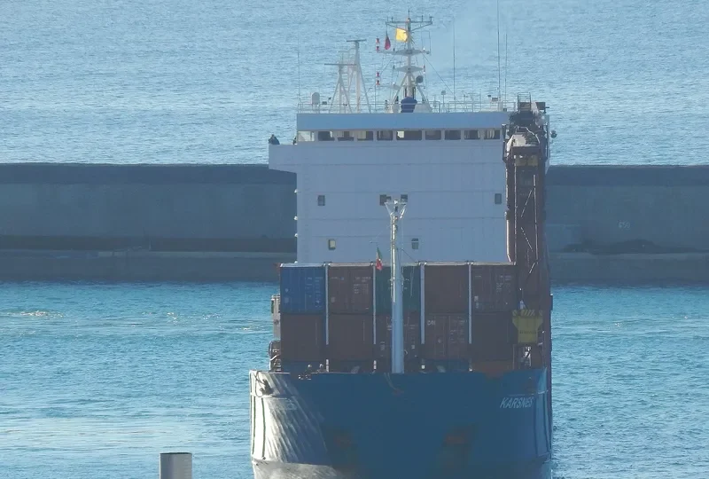 NEONILA General Cargo IMO 9143805 photo 2