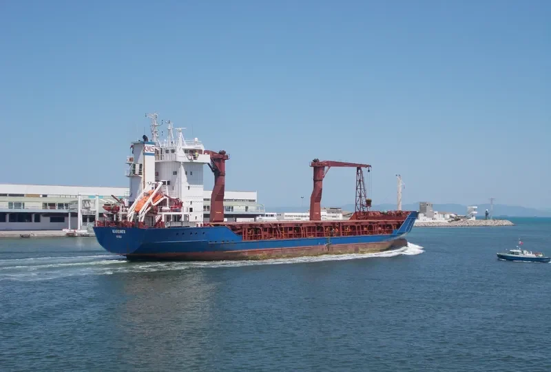 NEONILA General Cargo IMO 9143805 photo 8