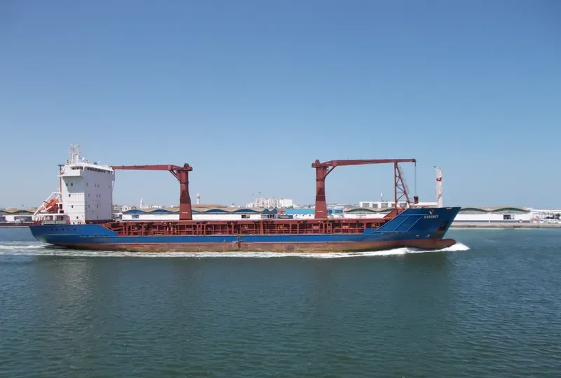 NEONILA General Cargo IMO 9143805 photo 9
