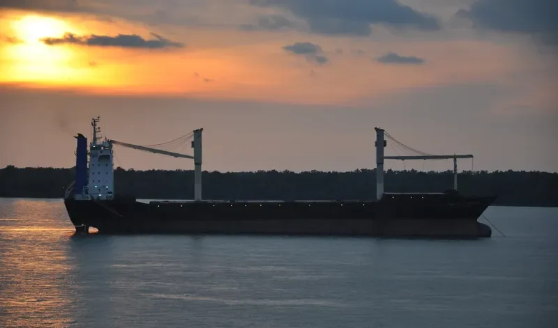 PLATINUM EMERALD Container Ship IMO 9143867 photo 2