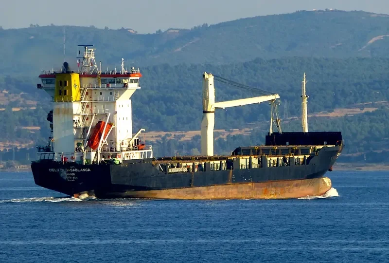 OKEE LILO Container Ship IMO 9143879 photo 10