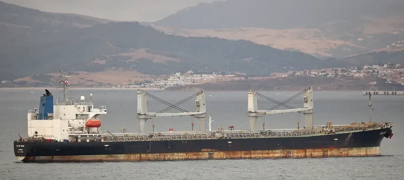 U GLORY Bulk Carrier IMO 9144029 photo 5