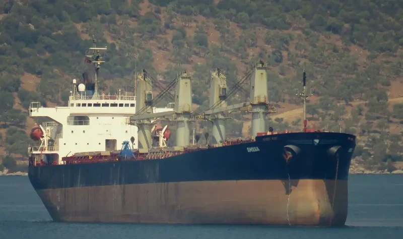 MLS GEMMA Bulk Carrier IMO 9144043