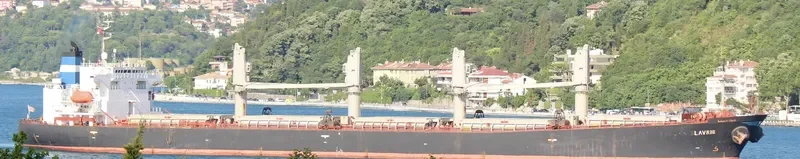 MLS GEMMA Bulk Carrier IMO 9144043 photo 8