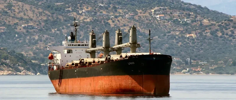 MLS GEMMA Bulk Carrier IMO 9144043 photo 9