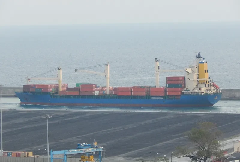 MSC RIONA Container Ship IMO 9144134