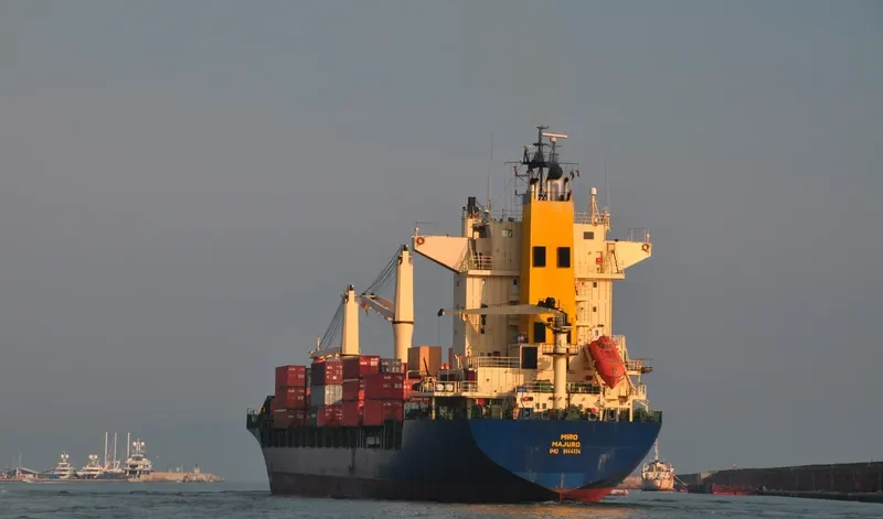 MSC RIONA Container Ship IMO 9144134 photo 2