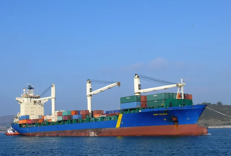 MSC RIONA Container Ship IMO 9144134 photo 8