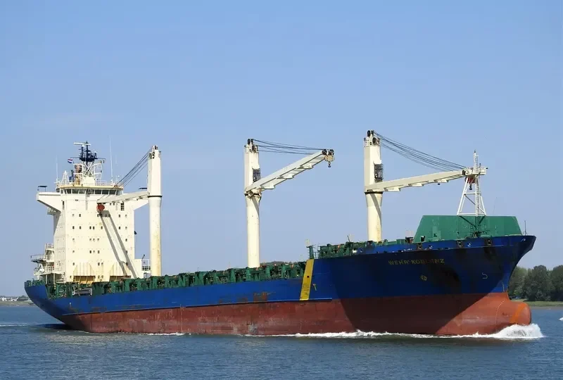 MSC RIONA Container Ship IMO 9144134 photo 9