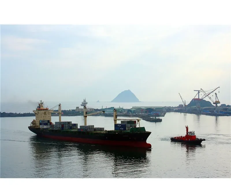 LEOPARD Container Ship IMO 9144146 photo 6