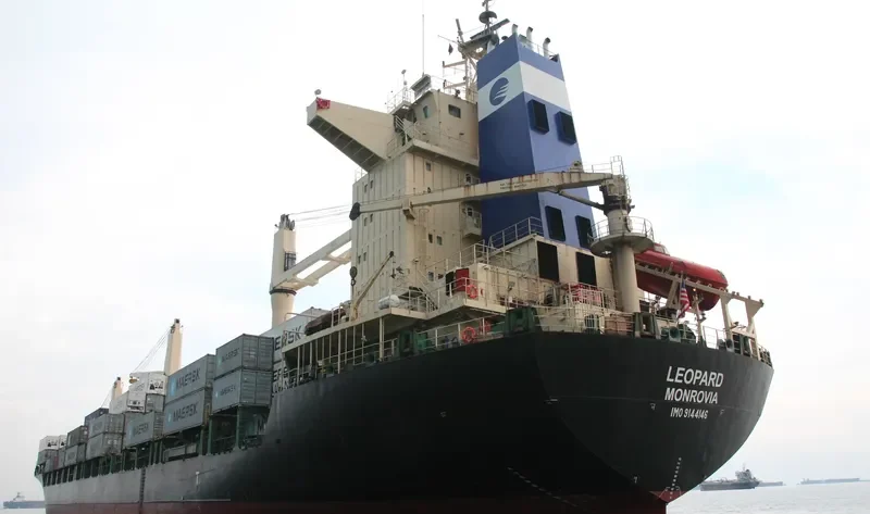 LEOPARD Container Ship IMO 9144146 photo 8