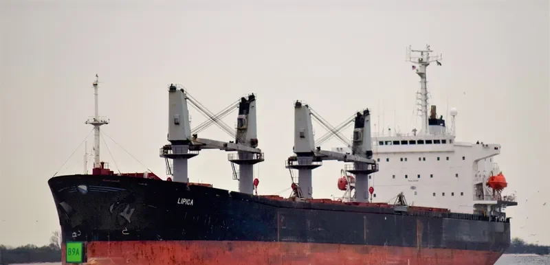 LIPICA Bulk Carrier IMO 9144299 photo 3