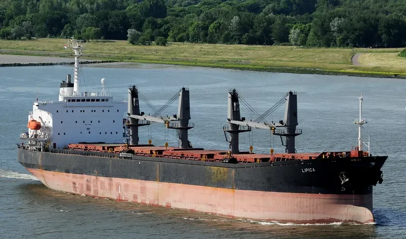 LIPICA Bulk Carrier IMO 9144299 photo 5