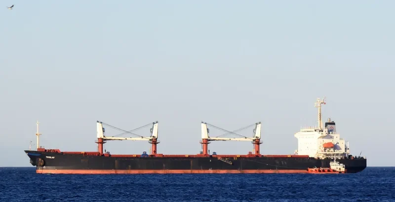 TRIGLAV Bulk Carrier IMO 9144304