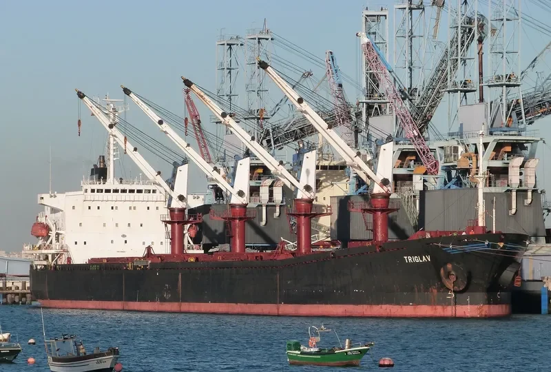 TRIGLAV Bulk Carrier IMO 9144304 photo 2