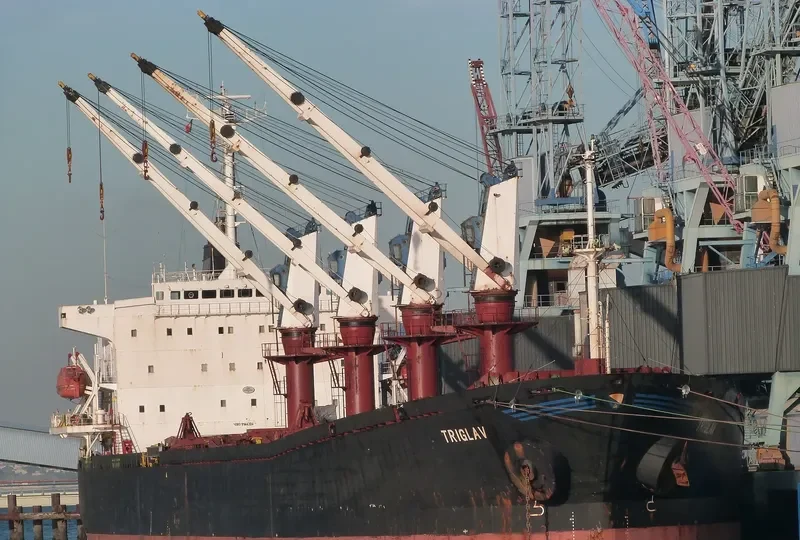 TRIGLAV Bulk Carrier IMO 9144304 photo 3