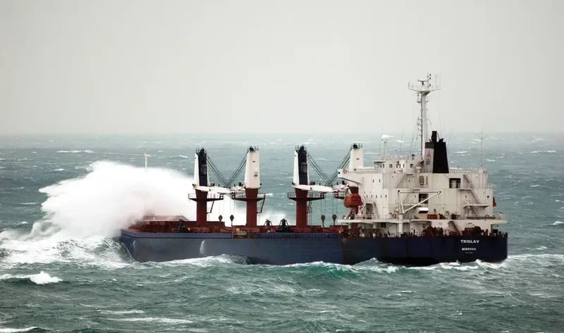 TRIGLAV Bulk Carrier IMO 9144304 photo 4