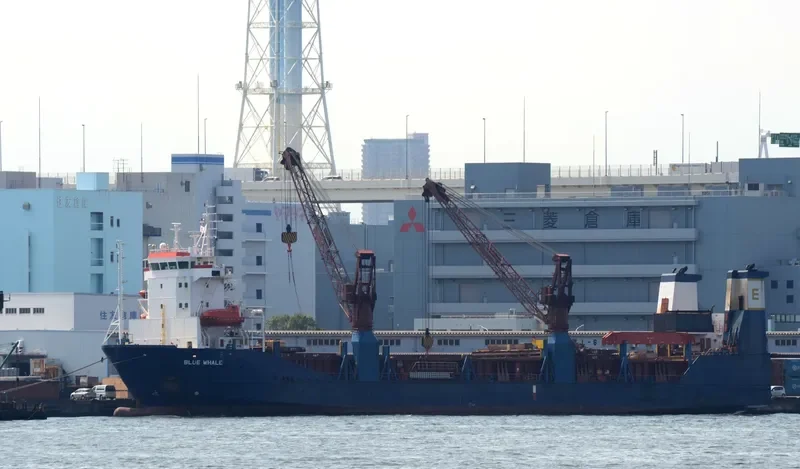 BALE Ro-Ro IMO 9144445 photo 4