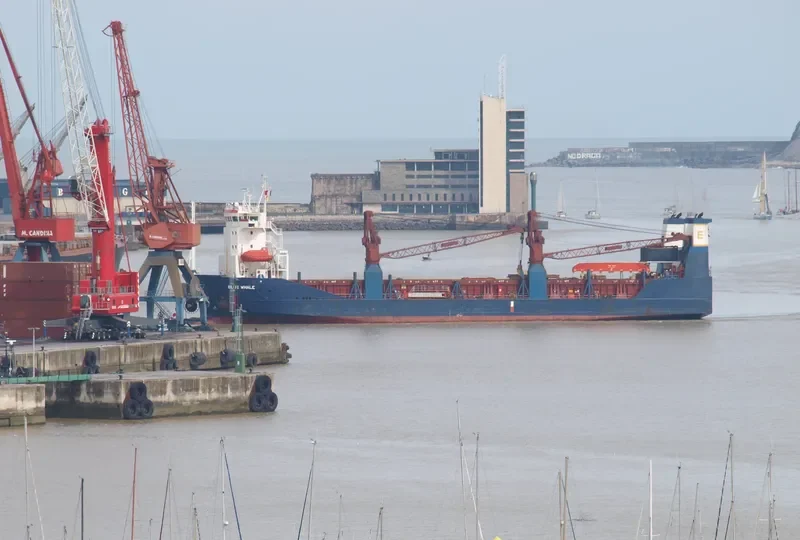 BALE Ro-Ro IMO 9144445 photo 8