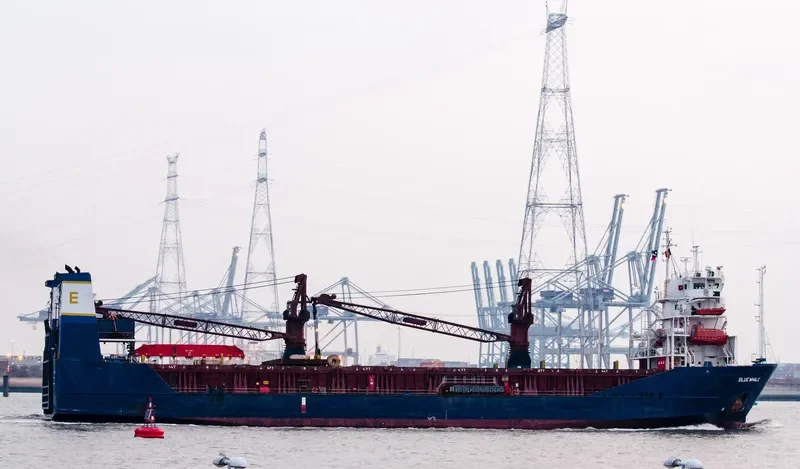 BALE Ro-Ro IMO 9144445 photo 9