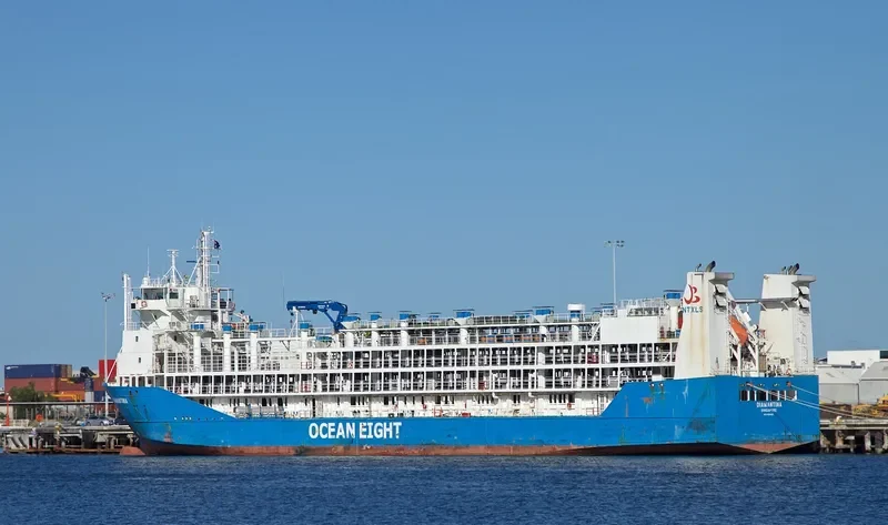 DIAMANTINA General Cargo IMO 9144469 photo 8